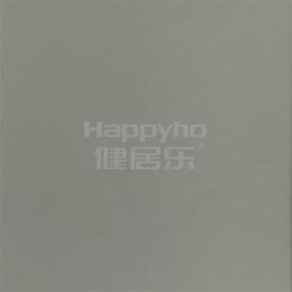 SG-W2002_EB無光